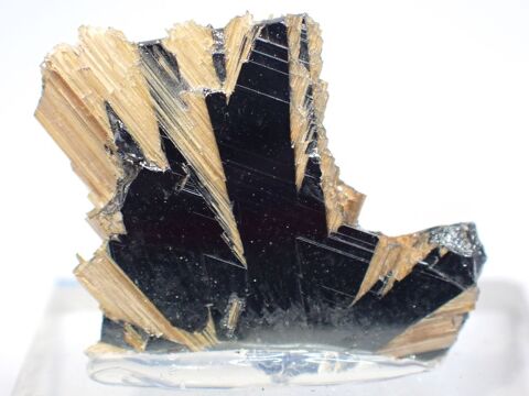 Cristaux de Rutile Jaune  Or  + H�matite noir intense Ibitar 35 La Petite-Raon (88)