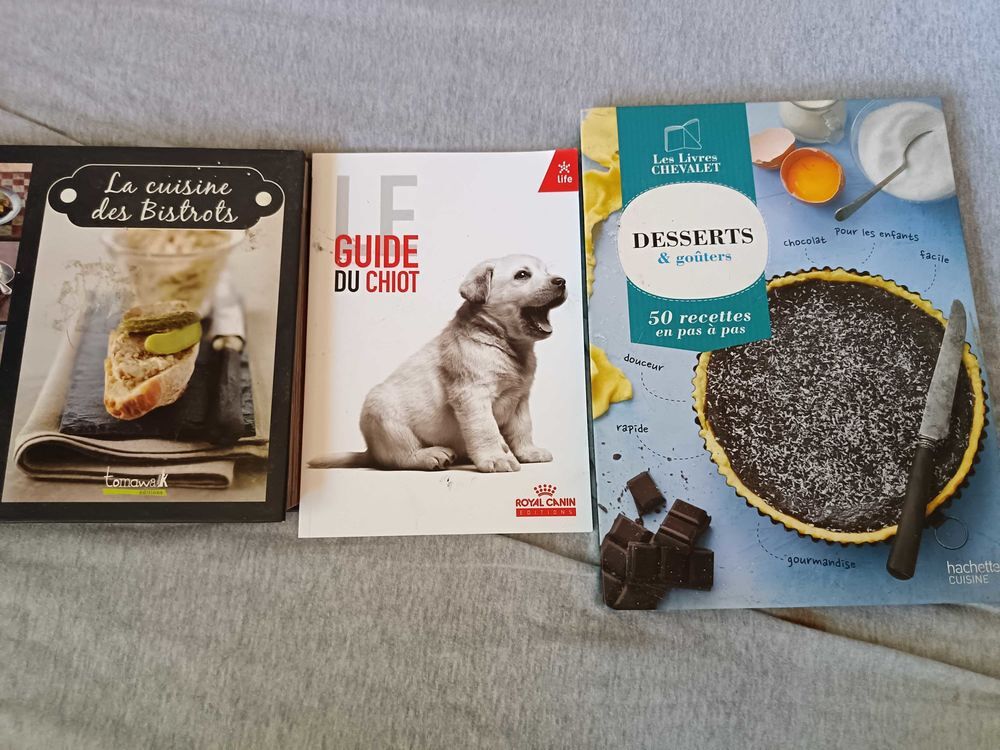 vide grenier Livres et BD