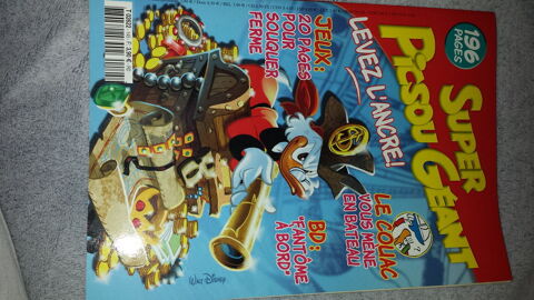 REVUE
SUPER PICSOU GEANT
N 145
2008 1 Triel-sur-Seine (78)