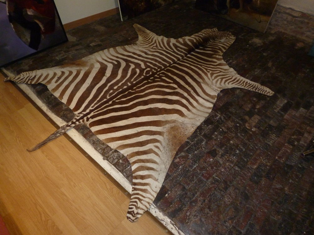 Tapis peau de z&egrave;bre (V&eacute;ritable) 260 x 190 Décoration