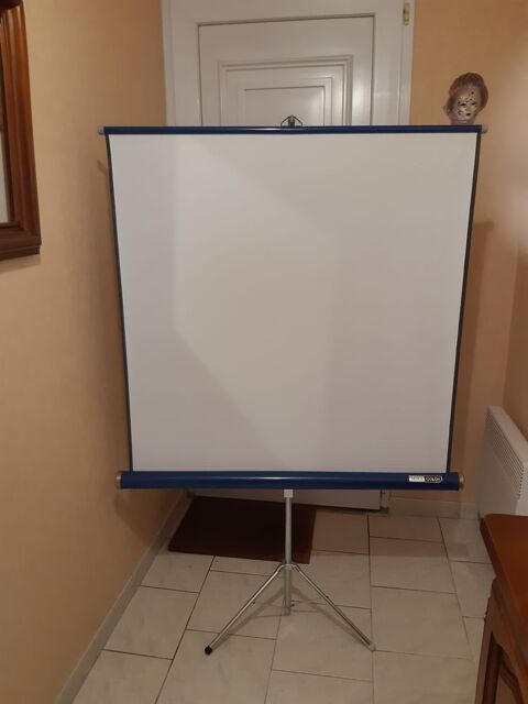 ECRAN DE PROJECTION 45 Saint-Sulpice-de-Royan (17)