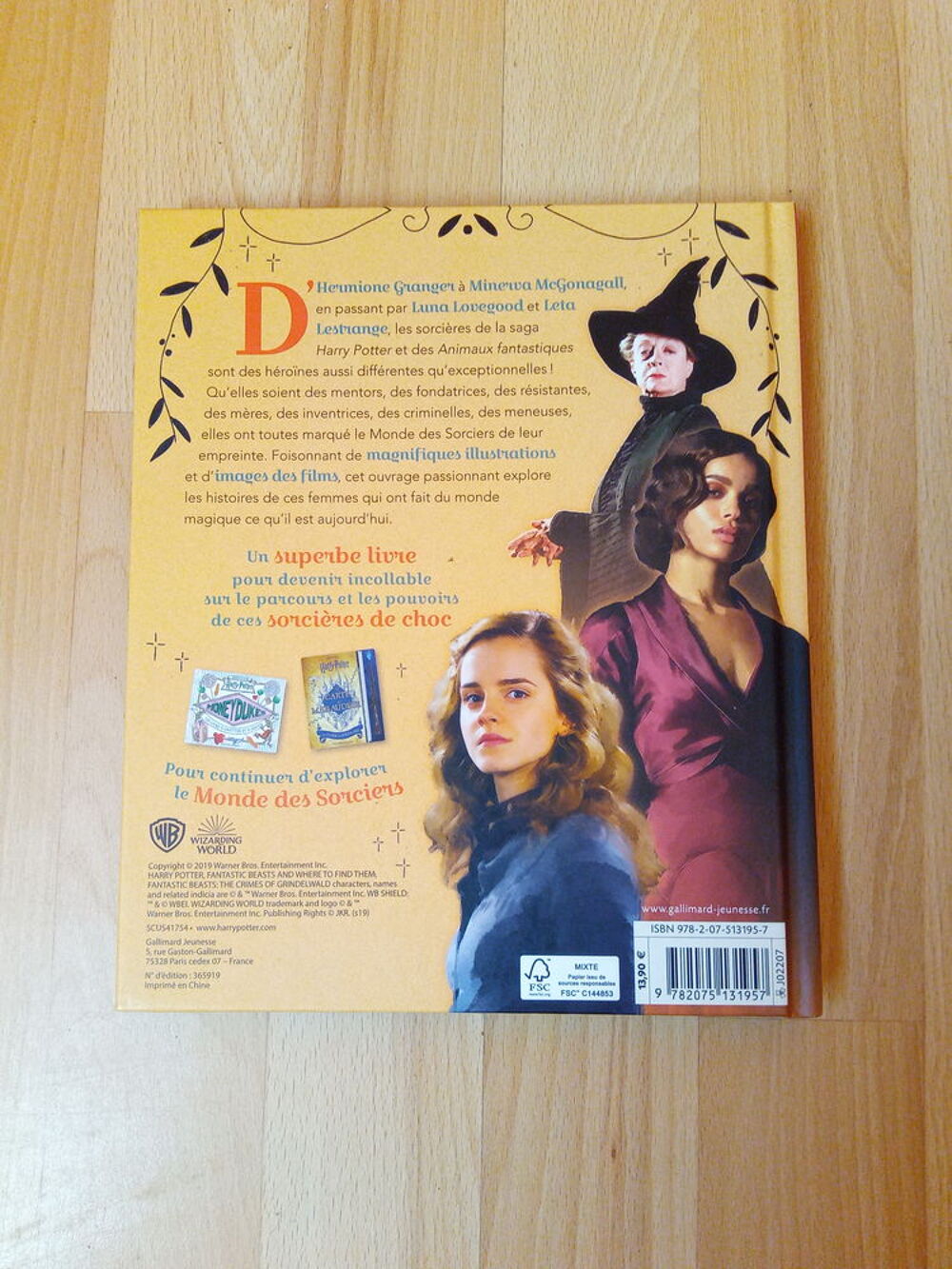 Livre Fi&egrave;res d'&ecirc;tre sorci&egrave;res (Neuf) Livres et BD