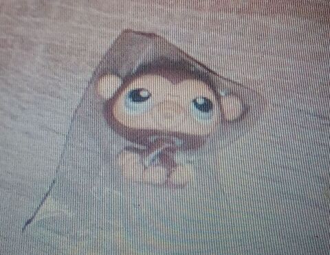 figurine petshop 7 Lampertheim (67)