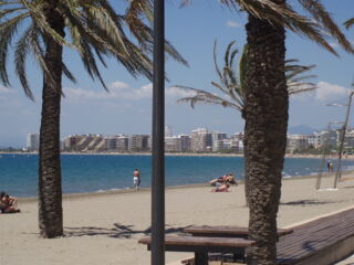 Location  Appartement 