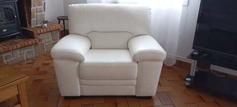 Fauteuil en cuir élégant et confortable La Couronne (16)