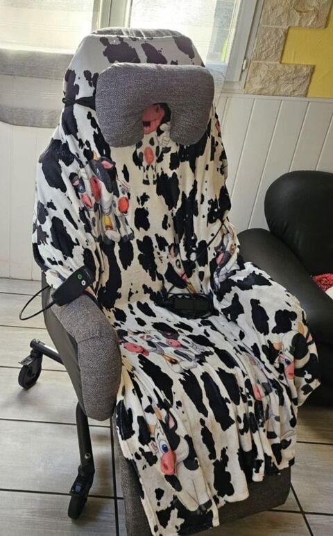 fauteuil lectrique tres confortable, trs peu utilis 33000 Bordeaux