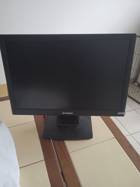 Moniteur LCD hyundai Lamballe (22)
