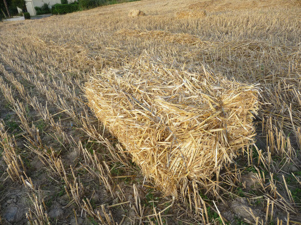 Paille Foin Bio Jardin