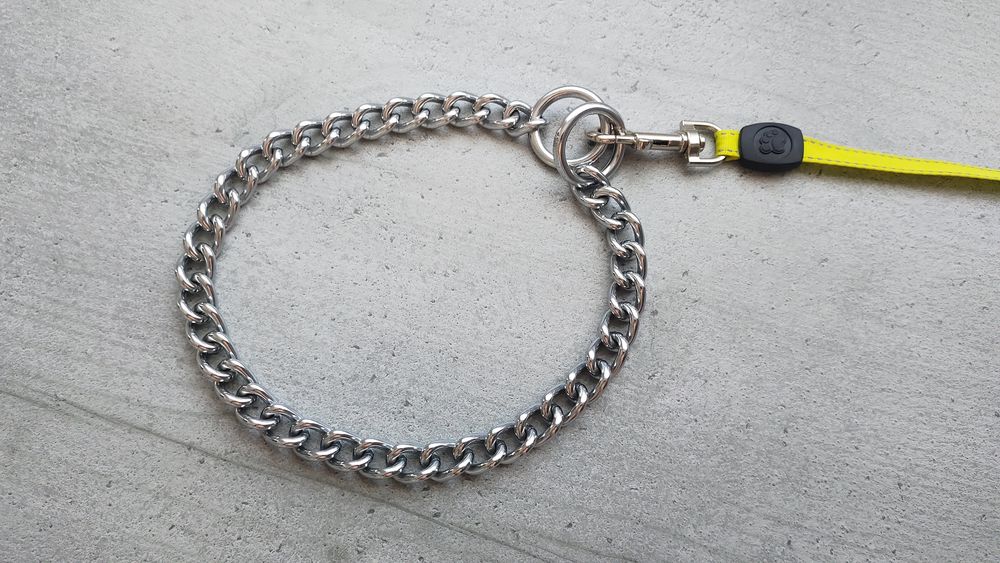 Collier Cha&icirc;ne en M&eacute;tal pour Chien en Acier Inoxydable 2-en1 Sports