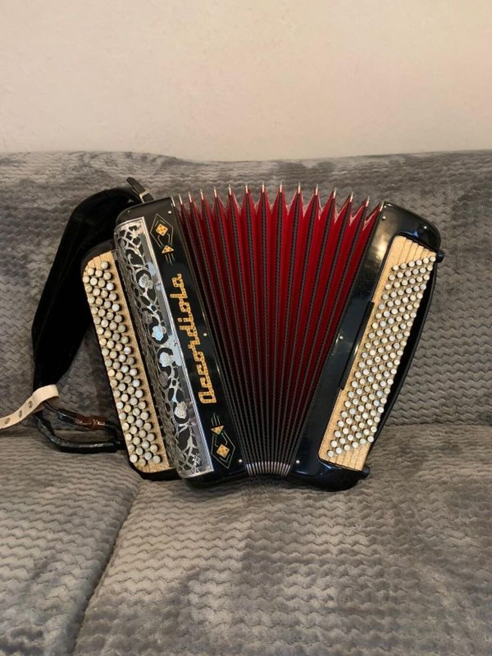 A saisir ACCORDEON ACCORDIOLA 120 basses Instruments de musique