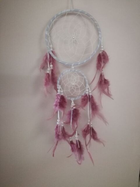 Attrape rve 5 Barentin (76)