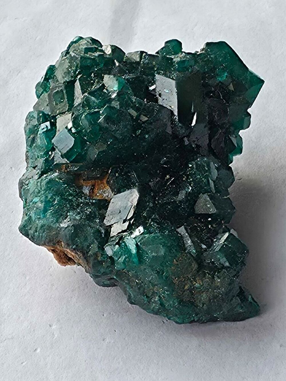 V&eacute;ritable Dioptase sur matrice RDC-Sp&eacute;cimen d'exception 