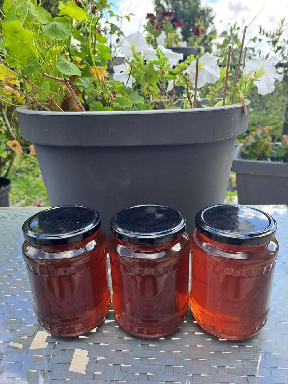 MIELS EN PRODUCTION LIMIT&Eacute;E POTS 1 KG Jardin