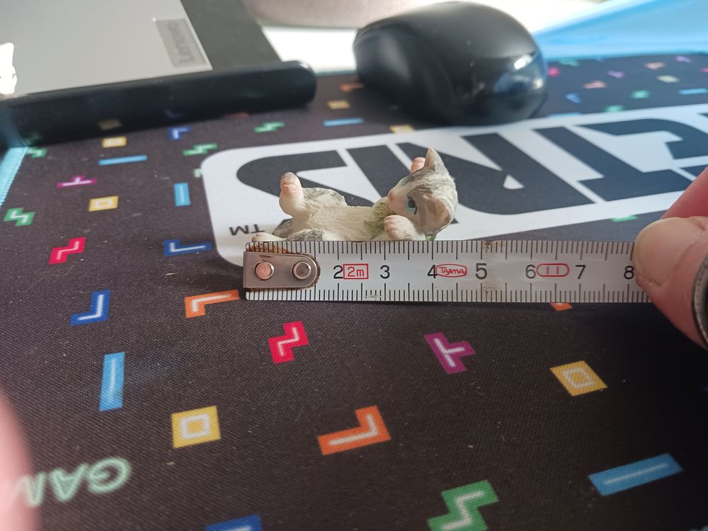 sujet chat allong&eacute; blanc 