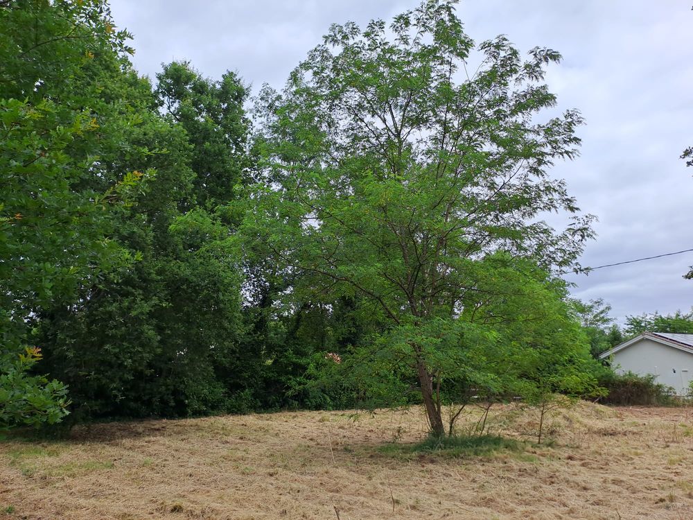 Vente Terrain BLANQUEFORT ? CAYCHAC ? TERRAIN À BÂTIR DE 1 587 M² Blanquefort