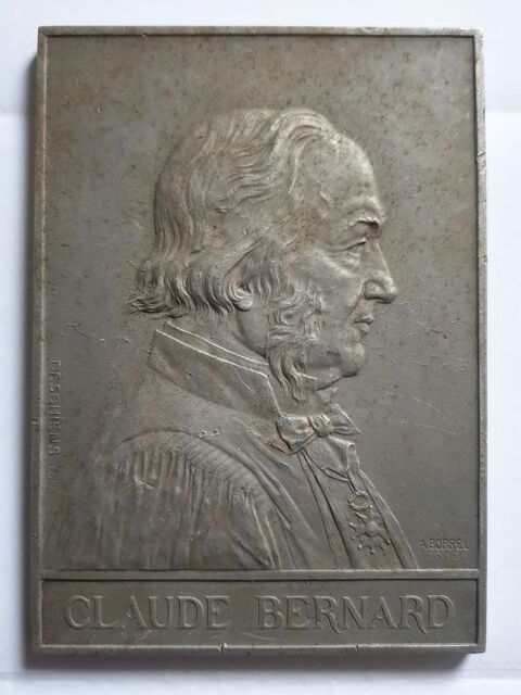 M�daille Plaque Aluminium 35 Bordeaux (33)