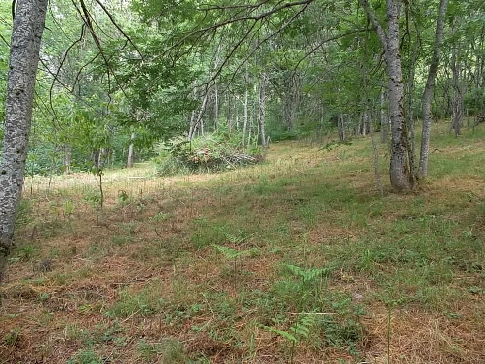 Vente Terrain Pyrénées Ariégeoises, terrain de loisir ou d'activité Ignaux