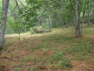 Terrain à vendre 1250 m²