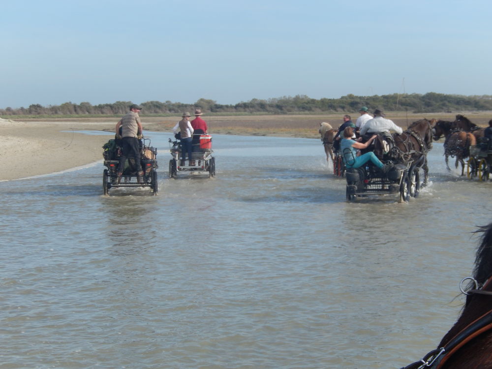   Marquenterre....Vacances en Baie De Somme Picardie, Saint-Quentin-en-Tourmont (80120)