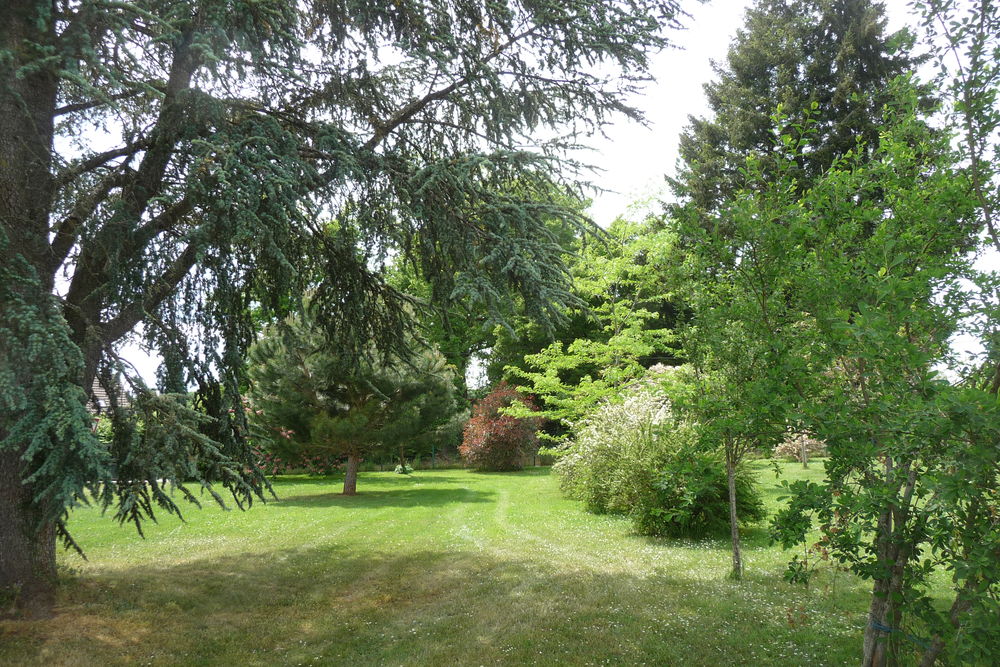 Vente Terrain Blessac : particulier cède 2 Superbes Terrains à bâtir dans Aubusson
