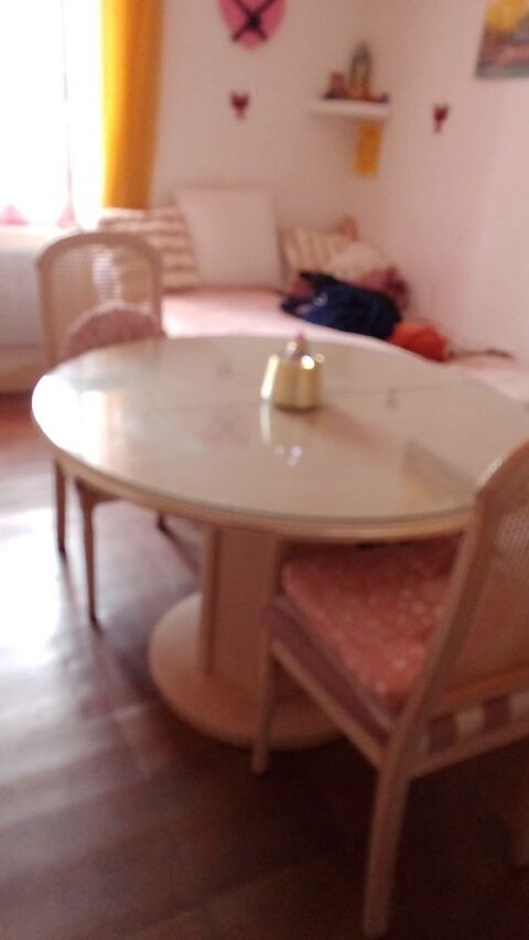 Jolie table Limoges (87)