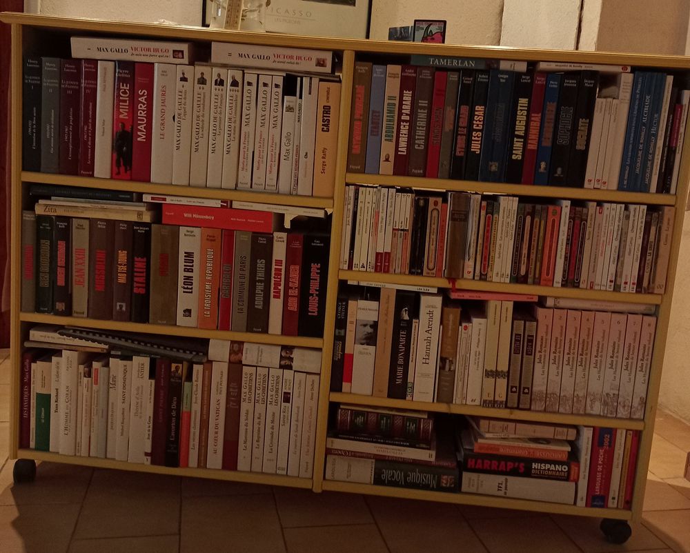 Cause d&eacute;m&eacute;nagement &eacute;tag&egrave;re biblioth&egrave;que double face Meubles