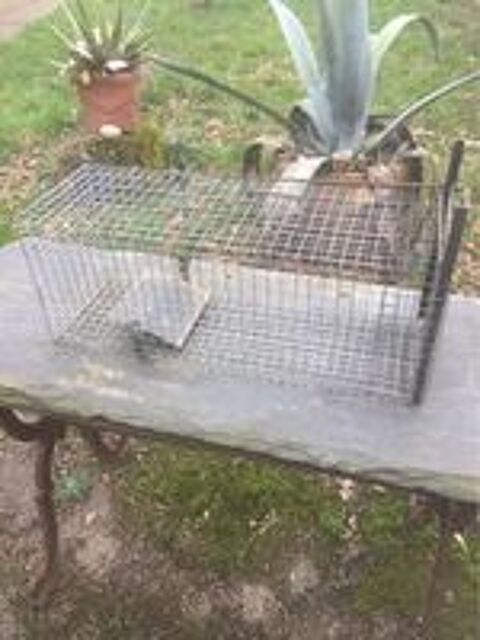   Cage/piège /attrape rongeur
