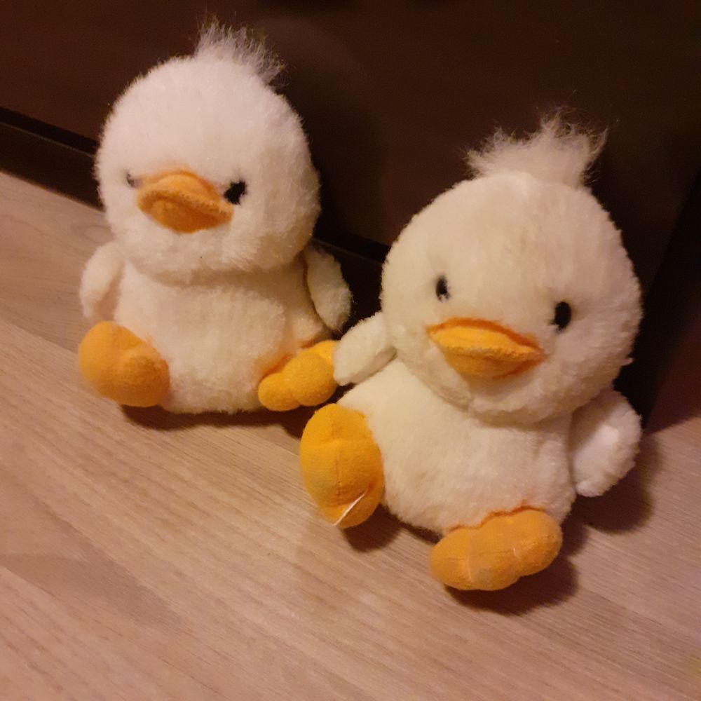 Lot de 5 peluches poussins et oiseau Jeux / jouets