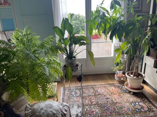  Appartement � vendre 3 pi�ces 63 m�