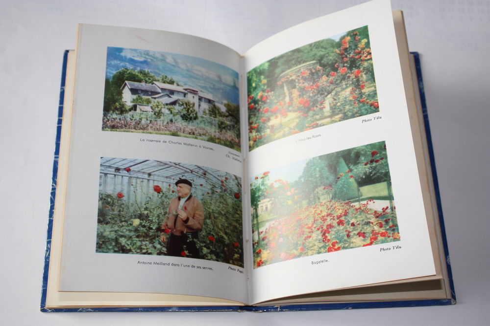 LE ROMAN DES ROSES - GEORGE ADAM- Livre Roman D'Horticulture Livres et BD
