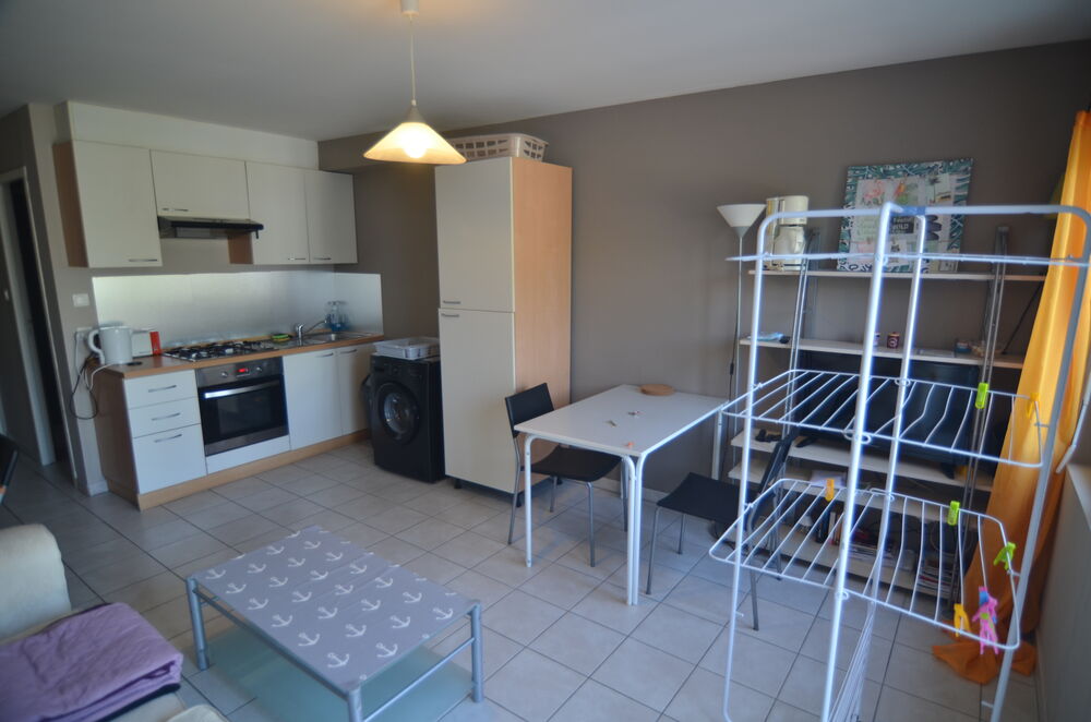 Location Appartement T2 proche fac rdc terrasse sud wifi quartier très calme wifi Albi