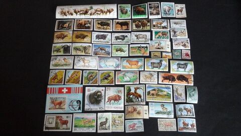 Timbres sur les animaux � cornes 4 Angers (49)