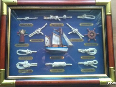 TABLEAU VITRINE     NOEUD MARIN    50 Dolus-d'Oléron (17)
