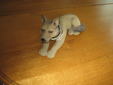 chien toby 30 Castres (81)