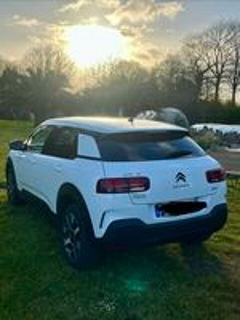 C4 cactus C4 Cactus BlueHDi 120 S&S EAT6 Shine Business 2019 occasion 29510 Langolen