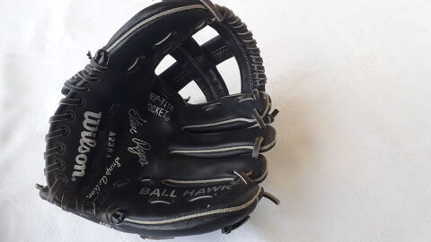Gant de baseball Wilson
35 Salon-de-Provence (13)