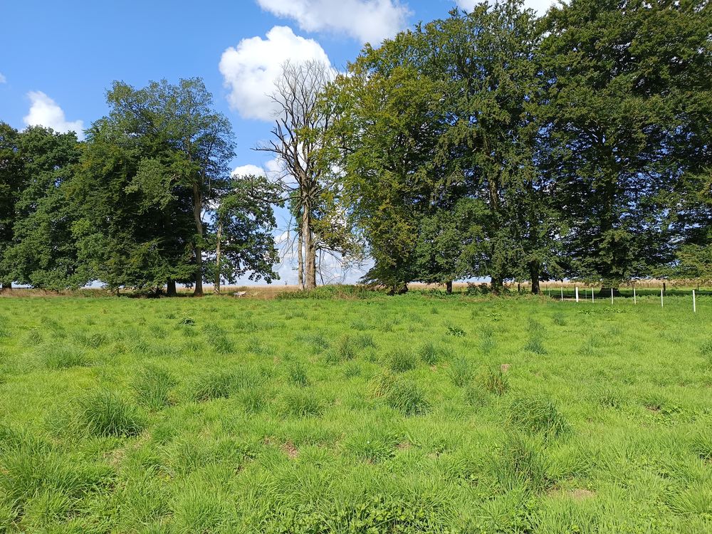 Vente Terrain SECTEUR YVETOT, TERRAIN DE LOISIR 2.397 m2 Hautot-saint-sulpice