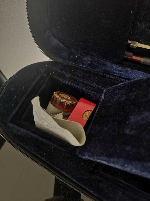 violon forenza Strasbourg (67)