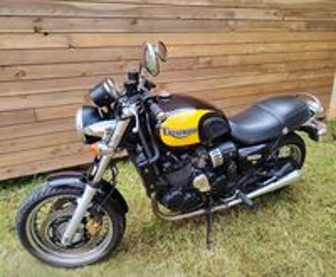 TRIUMPH 2004 occasion 79140 Cerizay