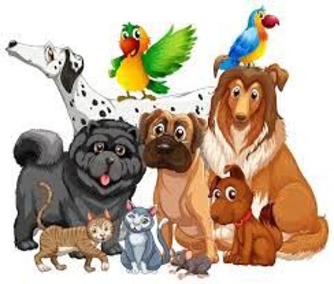 garde d animaux de compagnie 0 57130 Sainte-ruffine