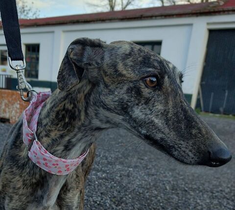 CARIDAD 🩷 on  a tout de suite envie de la serrer dans ses bras 315 24140 Douville