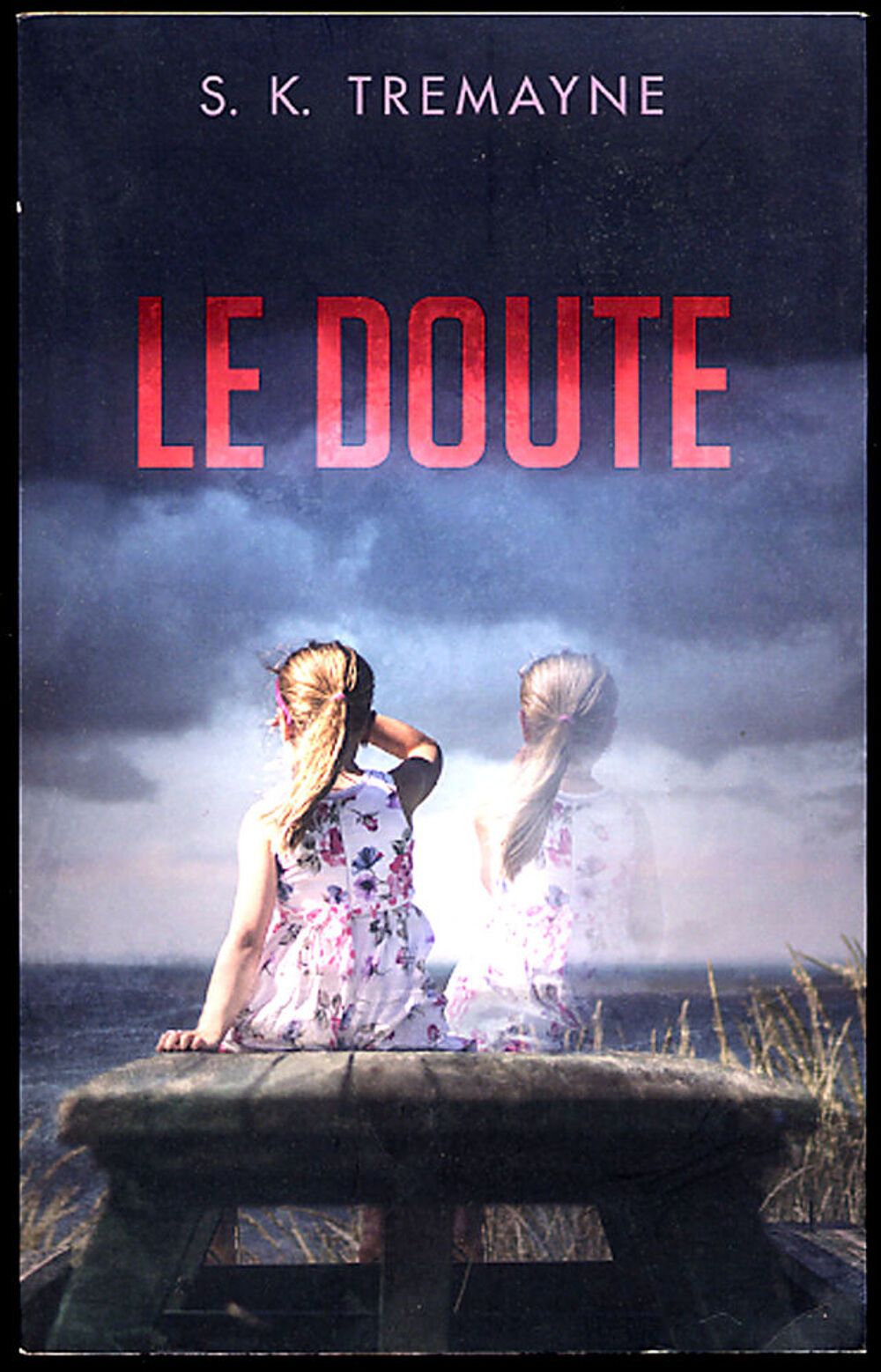 "Le Doute" / S.K. TREMAYNE Livres et BD