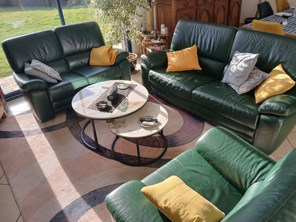 Ensemble salon cuir de buffle ? 3 pi&egrave;ces Meubles