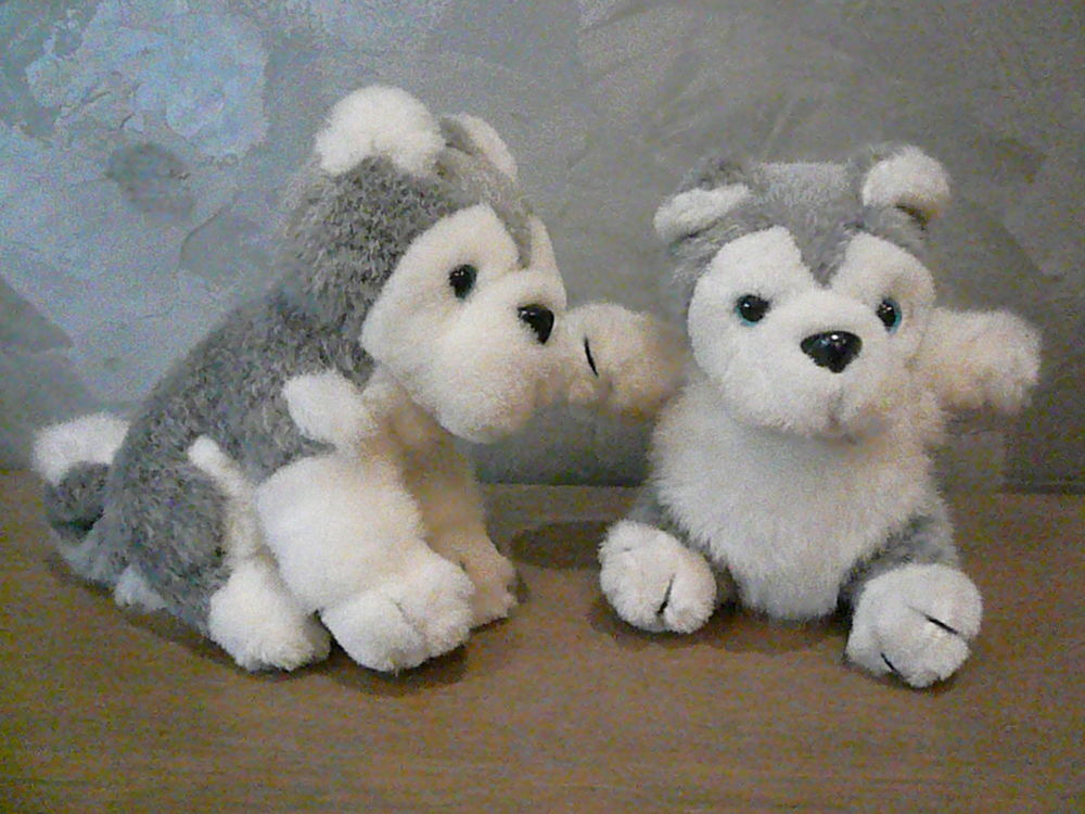 Lot de 2 chiens en peluche Jeux / jouets