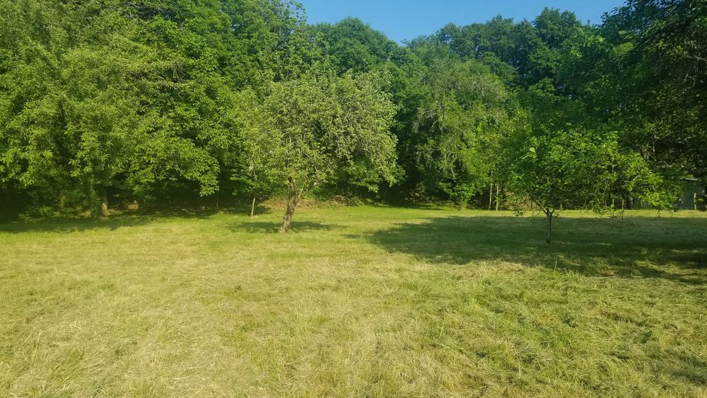 Vente Terrain Terrain 3500 m2 à Bourganeuf en Creuse Bourganeuf