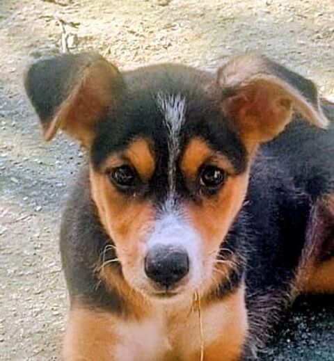 ALOE b&eacute;b&eacute; 0 75018 Paris