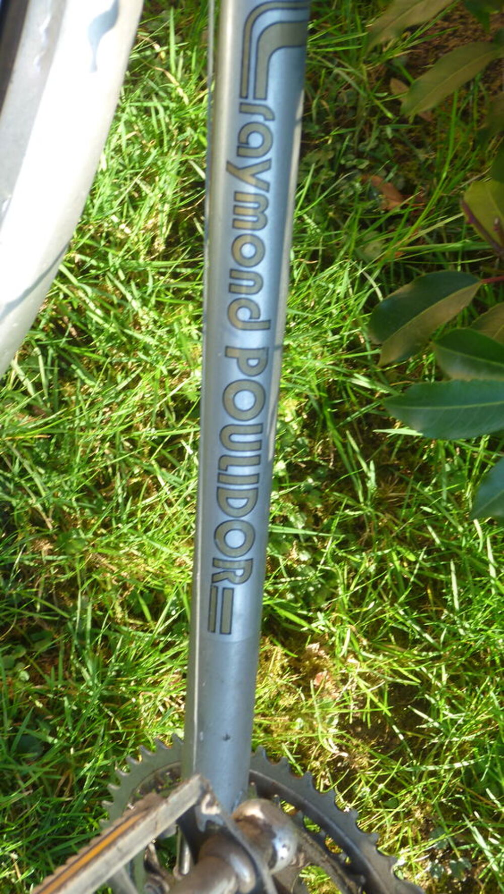  velo femme Vélos