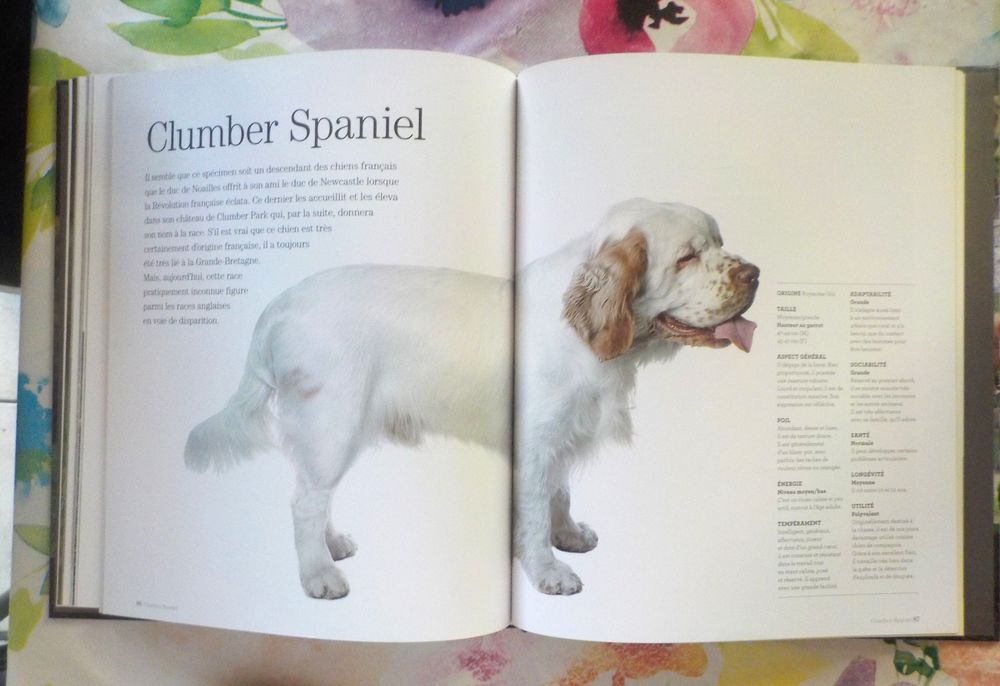 CHIENS RAPPORTEURS DE GIBIER, CHIENS LEVEURS ET CHIENS D'EAU Livres et BD