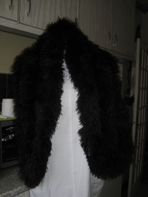 Etole en plumes d'autruche 100 Abrest (03)