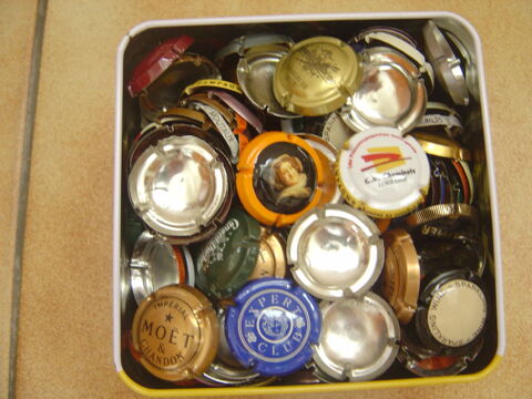 Capsules 25 Laxou (54)